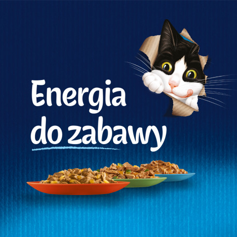 Purina Felix Fantastic rálík v želé - 85g - Fotogalerie 7