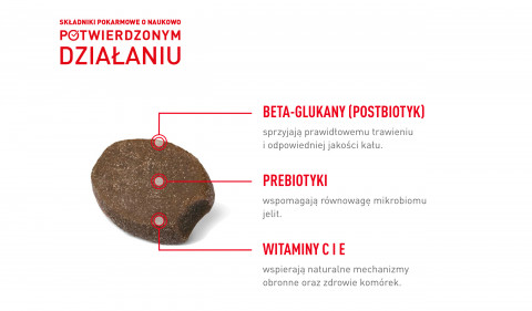 ROYAL CANIN Supplements Dog Immunity & Digest Puppy - vitamíny pro psa - 100g - Fotogalerie 5