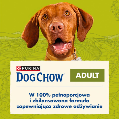 PURINA Dog Chow Adult Lamb - suché krmivo pro psy - 14 + 2,5kg - Fotogalerie 5