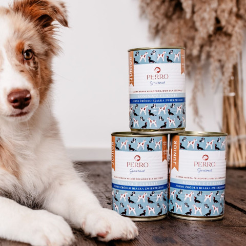 PERRO Gourmet Junior Horsemeat with zucchini - mokré krmivo pro psy - 800g - Fotogalerie 3