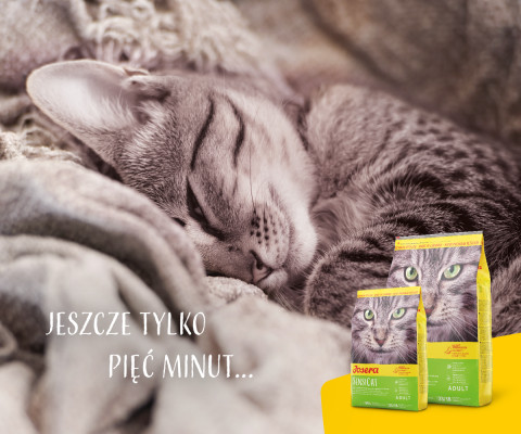Josera SensiCat suché krmivo pro kočky 2 kg Adult Játra - Fotogalerie 4