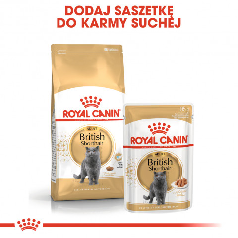 Royal Canin British Shorthair Adult suché krmivo pro kočky 4 kg Dospělý jedinec - Fotogalerie 4