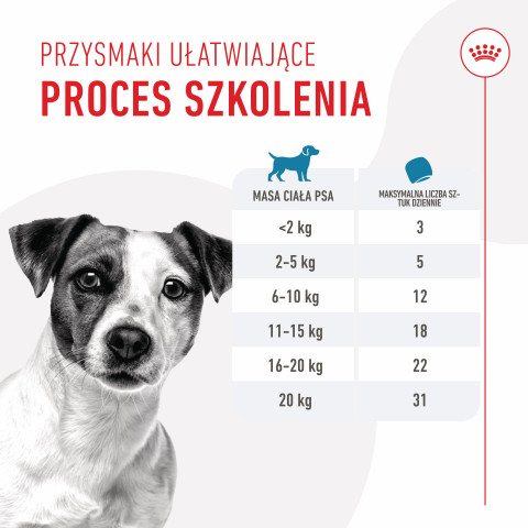 ROYAL CANIN Training Treats - pamlsek pro psa - 110g - Fotogalerie 15