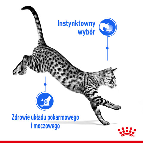 ROYAL CANIN Indoor Sterilized - Mokré krmivo pro kočky - Kousky v omáčce 12x85 g - Fotogalerie 9