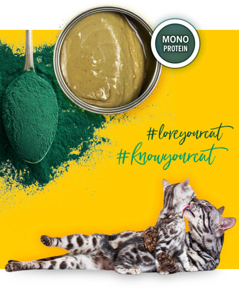 3COTY Chicken with spirulina For kittens and nursing cats - mokré krmivo pro kočky - 24x80g - Fotogalerie 6