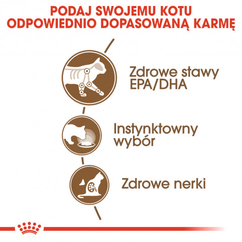 ROYAL CANIN FHN Ageing 12+ v želé - vlhké krmivo pro kočky - 12X85g - Fotogalerie 3