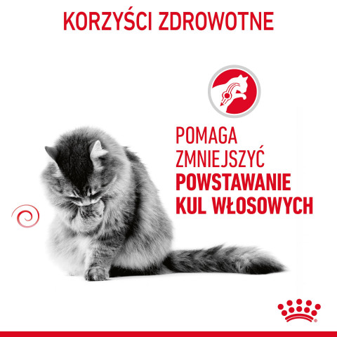 ROYAL CANIN Hairball Care Adult - suché krmivo pro kočky - 400g - Fotogalerie 5