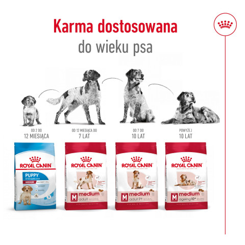 ROYAL CANIN Adult Medium - suché krmivo pro psy - 4kg - Fotogalerie 4