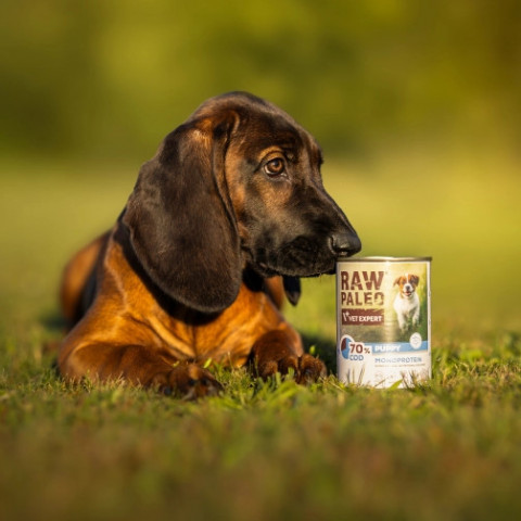 RAW PALEO Puppy Monoprotein Cod - mokré krmivo pro štěňata - 400 g - Fotogalerie 3