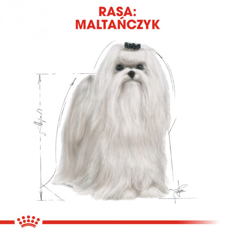 ROYAL CANIN Maltese Adult - suché krmivo pro psy - 1,5 kg - Fotogalerie 7