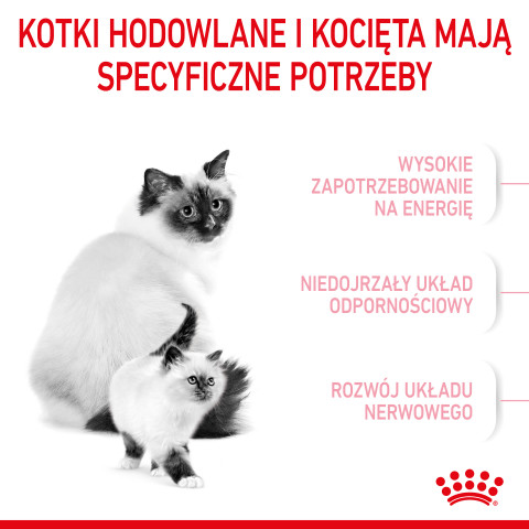 Royal Canin Mother & Babycat 34 suché krmivo pro kočky 0,4 kg - Fotogalerie 8