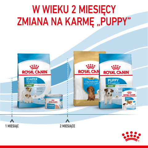 ROYAL CANIN SHN Mini Starter Mother & Babydog - suché krmivo pro psy - 4 kg - Fotogalerie 4