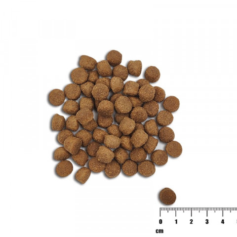 Raw Paleo Healthy Grain Puppy Losos a ječmen - suché krmivo pro psy - 10 kg - Fotogalerie 2