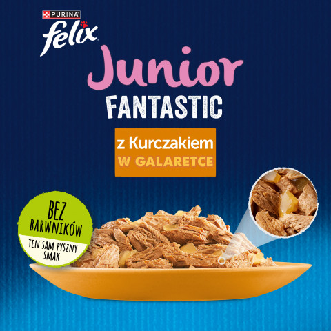 Felix Fanstastic Junior - vlhké krmivo pro kočky - 85 g - Fotogalerie 2