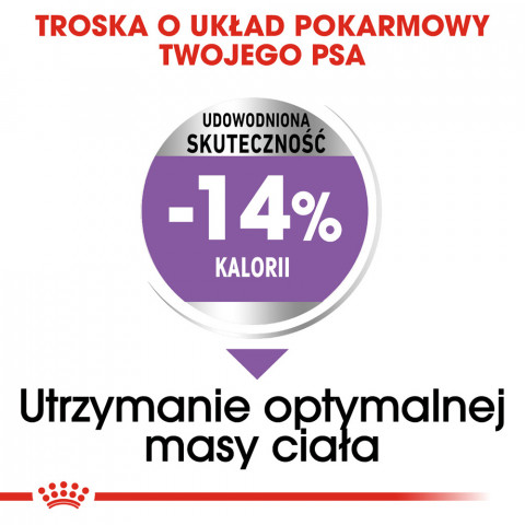 Royal Canin CCN MINI STERILISED - suché krmivo pro dospělé psy - 8kg - Fotogalerie 7