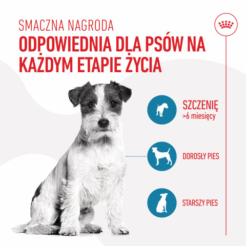 ROYAL CANIN Training Treats - pamlsek pro psa - 110g - Fotogalerie 10