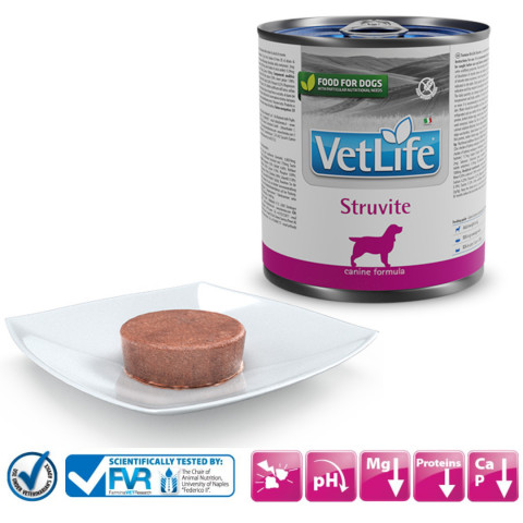 FARMINA Vet Life Diet Dog Struvite – mokré krmivo pro psy – 300 g - Fotogalerie 2