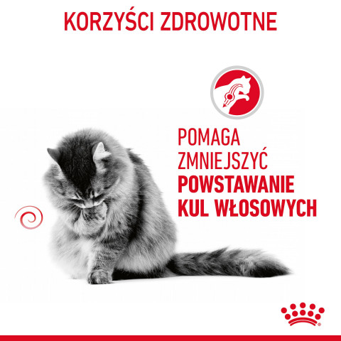 ROYAL CANIN FCN Hairball Care kousky v omáčce - mokré krmivo pro kočky - 12x85 g - Fotogalerie 13