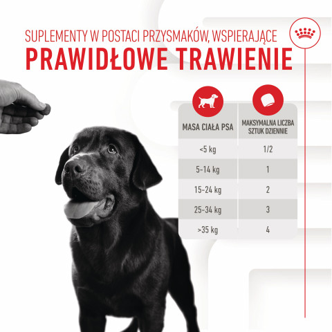 ROYAL CANIN Supplements Dog Digestion Adult - vitamíny pro psa - 160g - Fotogalerie 6
