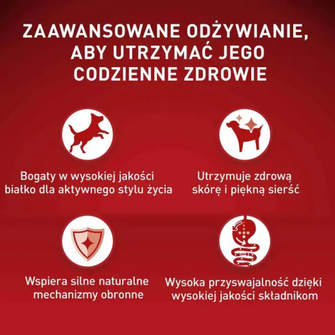 PURINA One Mini/Small Active Beef - vlhké krmivo pro psy - 85g - Fotogalerie 5