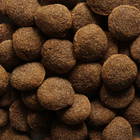 BIOFEED Nasz Pies medium & large Beef - suché krmivo pro psy - 15kg - Fotogalerie 3