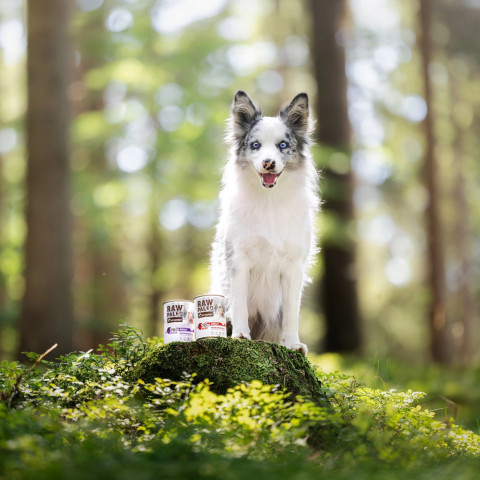 RAW PALEO Puppy Monoprotein Duck - mokré krmivo pro štěňata - 400 g - Fotogalerie 3
