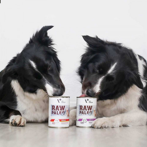 RAW PALEO Adult Monoprotein Beef - mokré krmivo pro psy - 400 g - Fotogalerie 3