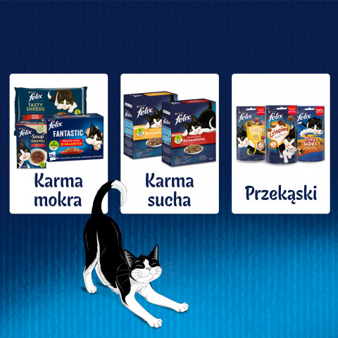 Purina Felix Fantastic rálík v želé - 85g - Fotogalerie 8
