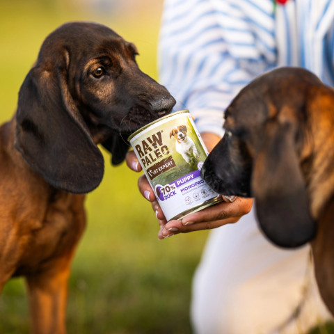 RAW PALEO Puppy Monoprotein Duck - mokré krmivo pro štěňata - 400 g - Fotogalerie 4