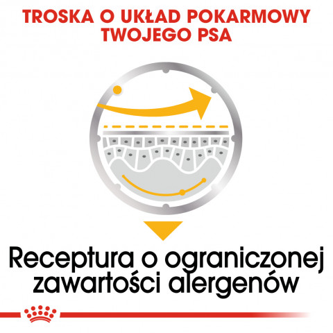 ROYAL CANIN Dermacomfort - Mokré krmivo pro psy - 12 x 85 g - Fotogalerie 4