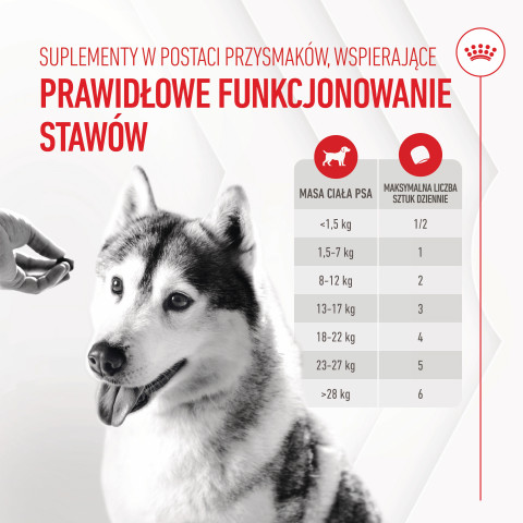 ROYAL CANIN Supplements Dog Joint & Ageing Adult - vitamíny pro psa - 240g - Fotogalerie 15