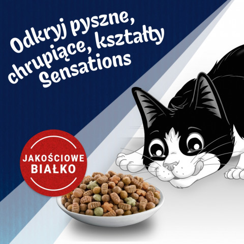 PURINA Felix Countryside Sensations - suché krmivo pro kočky - 1kg - Fotogalerie 5