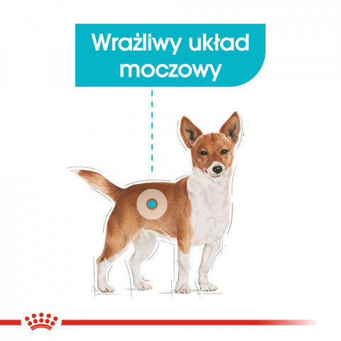 ROYAL CANIN Mini Urinary Care - suché krmivo pro psy - 3 kg - Fotogalerie 9