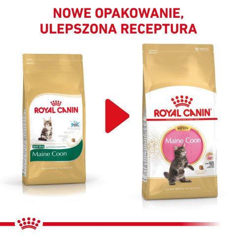ROYAL CANIN Maine Coon Kitten - suché krmivo pro kočky - 2 kg - Fotogalerie 4