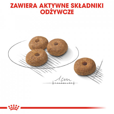 ROYAL CANIN Mini Sterilised - suché krmivo pro dospělé psy malých plemen, po sterilizaci - 1kg - Fotogalerie 6