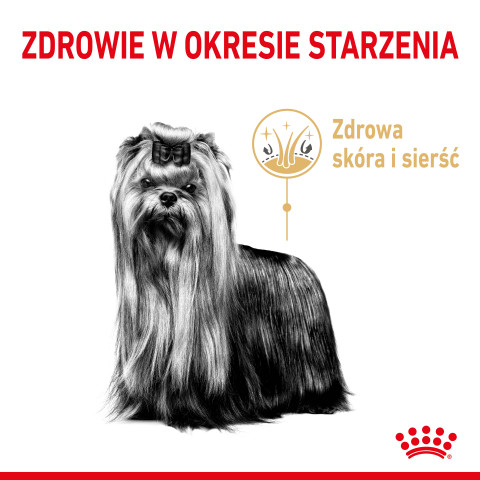 Royal Canin Yorkshire Ageing 8+ - suché krmivo pro starší psy - 3kg - Fotogalerie 5