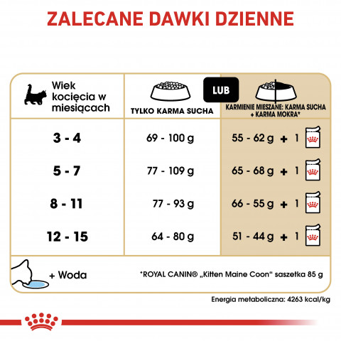 ROYAL CANIN Maine coon FBN Kitten - suché krmivo pro kočky - 400g - Fotogalerie 3