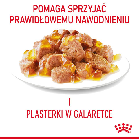 ROYAL CANIN FCN Light Weight Care v želé - vlhké krmivo pro dospělé kočky - 12x85g - Fotogalerie 8
