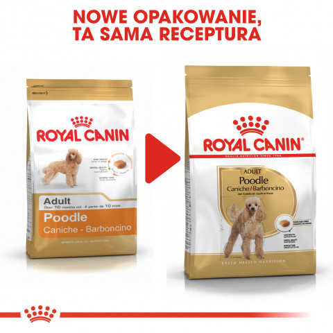 Royal Canin Poodle Adult 1,5 kg - Fotogalerie 2