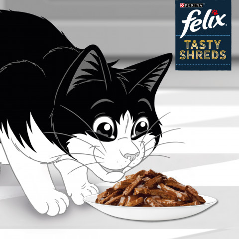 FELIX Tasty Shreds s hovězím a kuřecím masem - 4x 80g - Fotogalerie 4