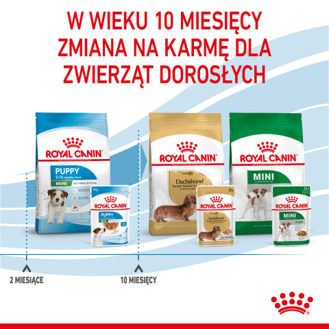 ROYAL CANIN SHN Mini Puppy in sauce - mokré krmivo pro štěňata - 12X85g - Fotogalerie 6