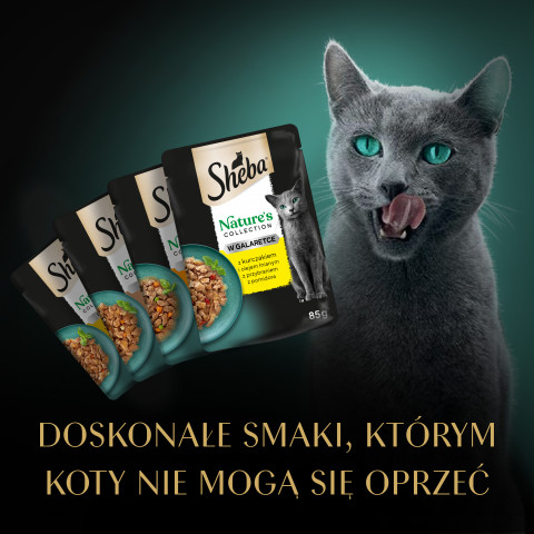 SHEBA Nature's Collection Poultry Flavors in jelly - mokré krmivo pro kočky - 40 x 85g - Fotogalerie 12