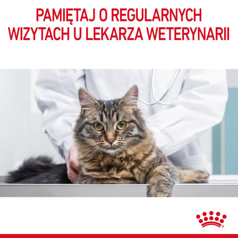 ROYAL CANIN Hairball Care Adult - suché krmivo pro kočky - 400g - Fotogalerie 4