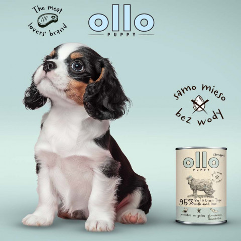 OLLO Puppy Umami Hovězí a Zelené Dršťky s Kachními Játry - mokré krmivo pro psy - 400g - Fotogalerie 6