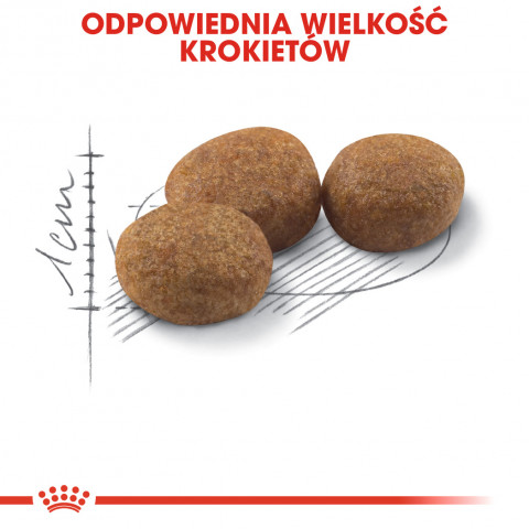 ROYAL CANIN Sterilised - suché krmivo pro kočky - 2 kg - Fotogalerie 2