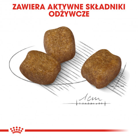 ROYAL CANIN CCN Mini Dental Care - suché krmivo pro dospělé psy - 3kg - Fotogalerie 2