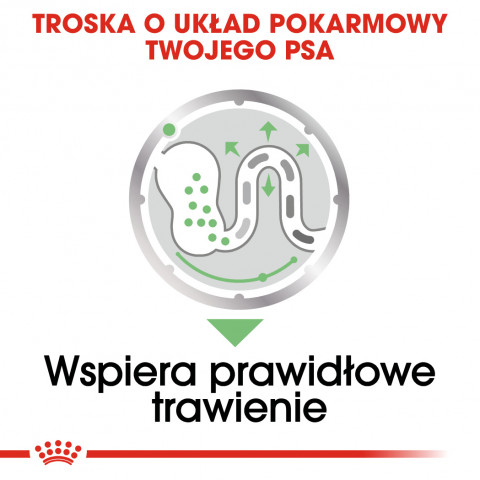 ROYAL CANIN CCN DIGESTIVE CARE LOAF - mokré krmivo pro dospělé psy - 12x85g - Fotogalerie 5