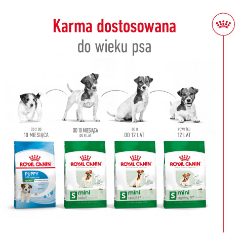 ROYAL CANIN Mini Ageing Adult +12 - suché krmivo pro psy - 3,5 kg - Fotogalerie 7