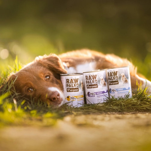 VET EXPERT Raw Paleo Adult Monoprotein Cod - vlhké krmivo pro psy - 400 g - Fotogalerie 2