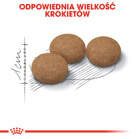 Royal Canin Senior Ageing Sterilised 12+ suché krmivo pro kočky 4 kg Kukuřice, Drůbež, Zeleninová - Fotogalerie 5